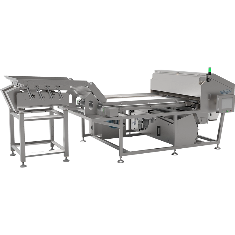 RAYMANTECH AI STANDARD OPTICAL SORTER